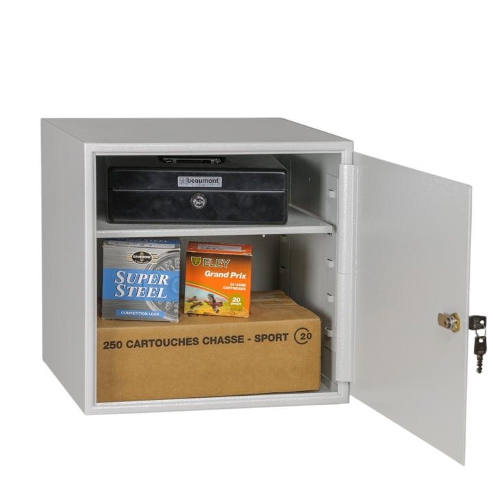 Coffre-fort d'intérieur-Mustangsafes-MSWG6-open-grey