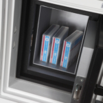 Phoenix Data Care DS2001F Coffres-forts privés résistants au feu MustangSafes