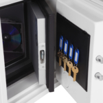 Phoenix Data Care DS2001F Coffres-forts privés résistants au feu MustangSafes