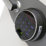 Phoenix Data Care DS2001F Coffres-forts privés résistants au feu MustangSafes
