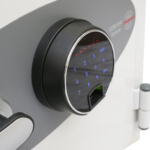 Phoenix Data Care DS2001F Coffres-forts privés résistants au feu MustangSafes