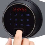 Phoenix Data Care DS2001F Coffres-forts privés résistants au feu MustangSafes