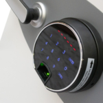 Phoenix Data Care DS2002F Coffres-forts privés résistants au feu MustangSafes