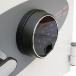 Phoenix Data Care DS2002F Coffres-forts privés résistants au feu MustangSafes