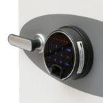 Phoenix Data Care DS2002F Coffres-forts privés résistants au feu MustangSafes