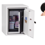 Phoenix Data Care DS2002F Coffres-forts privés résistants au feu MustangSafes