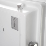 Phoenix Data Combi DS2501E Coffres à documents MustangSafes