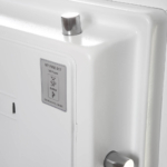 Phoenix Data Combi DS2503K Pas de catégorie MustangSafes