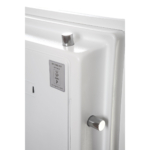 Phoenix Data Combi DS2504F Coffres-forts privés résistants au feu MustangSafes